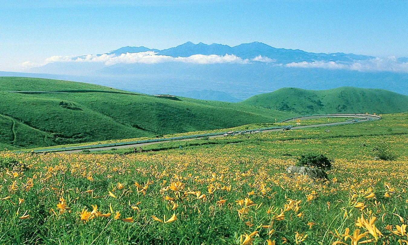 Company 会社案内